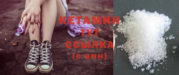 шишки Горно-Алтайск