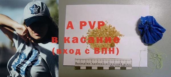 шишки Горно-Алтайск