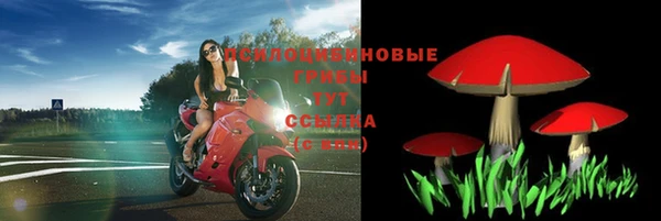 молекула духа Вязьма