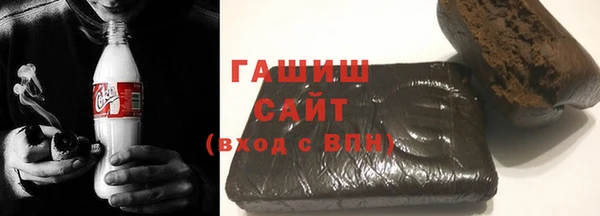 шишки Горно-Алтайск