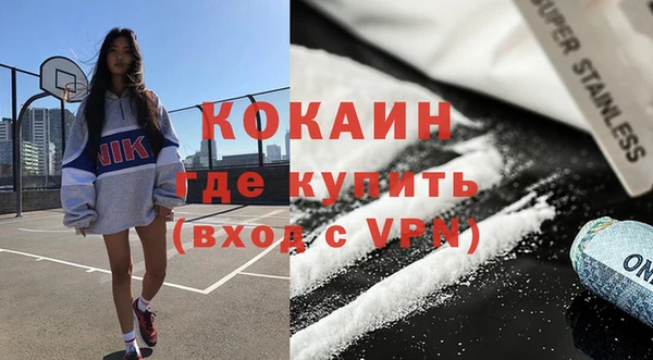 шишки Горно-Алтайск