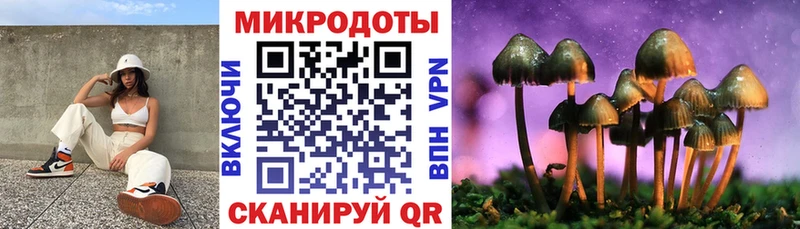 Псилоцибиновые грибы Psilocybe наркотики Дивногорск